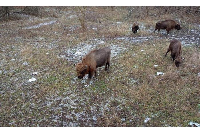 Откройте для себя Молдову с #MOLDPRES: «Pădurea Domnească» - жемчужина экотуризма на берегу реки Прут