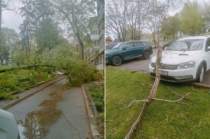 ФОТО/ На некоторых улицах столицы сильным ветром повалены деревья