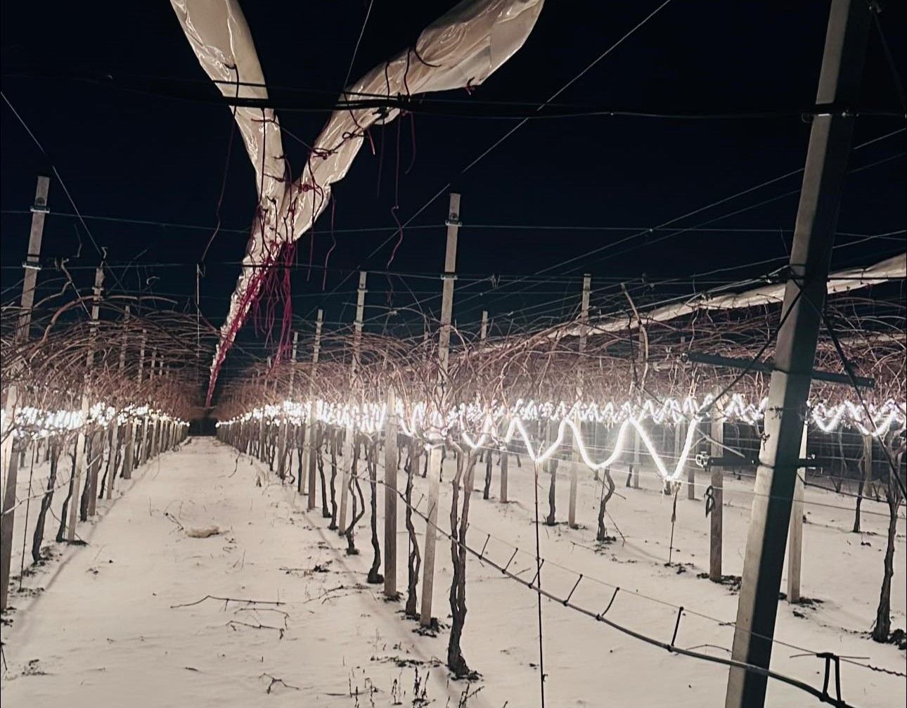 Fermierii, invitați la Ialoveni să descopere soluții inteligente pentru mediu la un atelier dedicat modernizării agriculturii