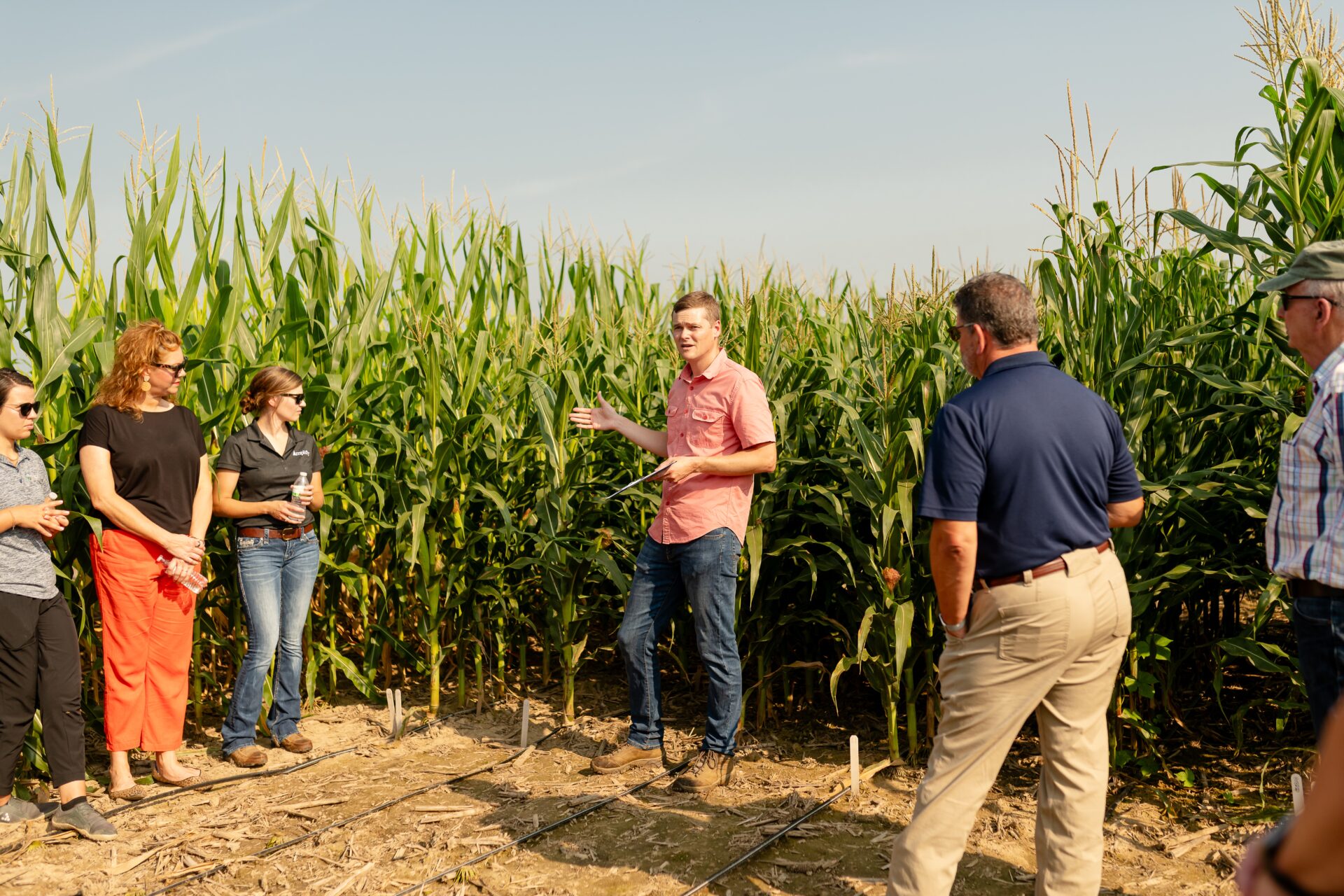 Fermierii din Republica Moldova pot accesa servicii de consiliere agricolă pe întreg ciclul de producere