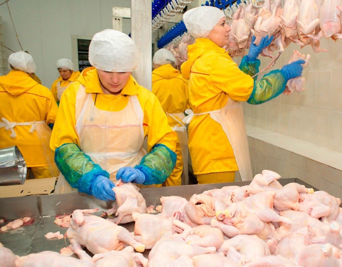 Carnea de pasăre din Republica Moldova ajunge pe piața UE: autorizare pentru întreg teritoriul țării