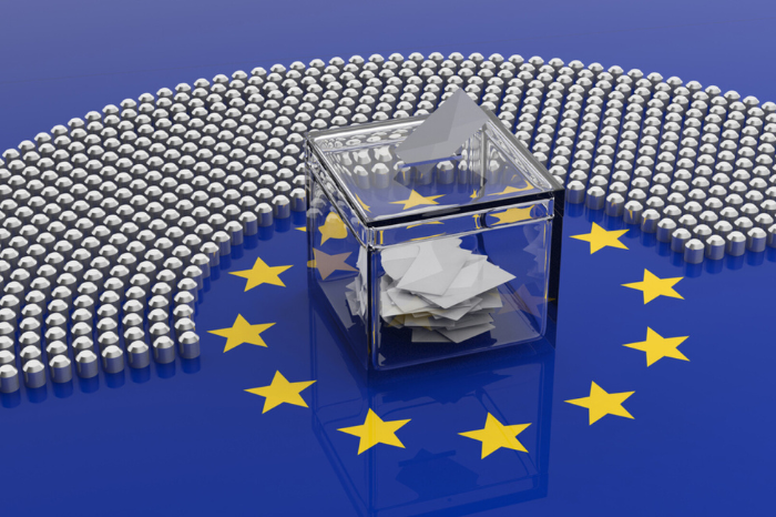 Pentru alegerile Europarlamentare din 9 iunie 2024