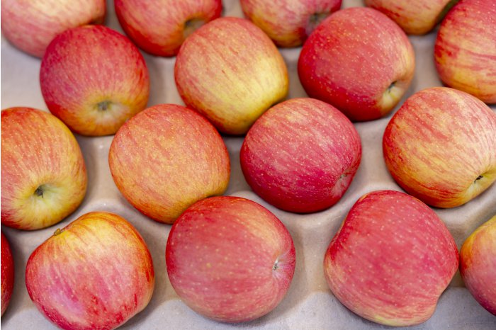 Moldovan apples sold in over 30 countries worldwide