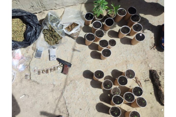 Moldovan law-enforcers inform about capture of drugs worth one million lei in Cahul 